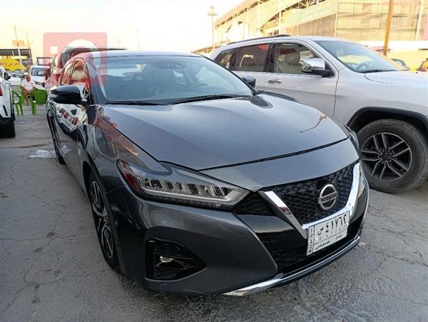 Nissan for sale in Iraq